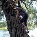 ���� ���������, �����-���������, 66 ��� - ��������� 8 ������� 2012