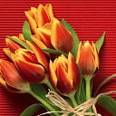 ���� ����� - ���������� ��������!!!, �����������, 56 ��� - ��������� 16 ������ 2010 � ������ ������ۻ