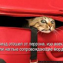 ���� ��������, �������� - ��������� 11 ����� 2012 � ������ �������� ��������