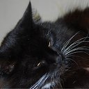 ���� ����, ������, 45 ��� - ��������� 20 ������� 2009 � ������ ����������!�