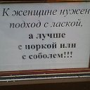 ������� ������ ������������ �� ������� �������