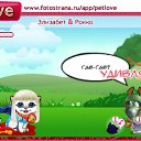 ���� ���������, ����, 36 ��� - ��������� 25 ���� 2011 � ������ �PetLove�