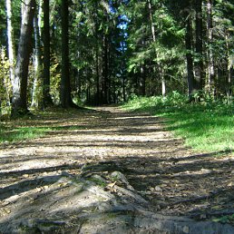 ���� �������, ������, 68 ��� - ��������� 3 ������� 2011