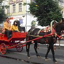 ���� ����, �������� - ��������� 15 ������� 2010 � ������ ������� ��������� 1020 ���