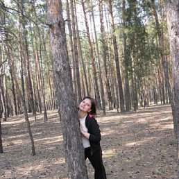 �����, �����������, 46 ���