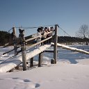 ���� ��������, ���������� ������� - ��������� 9 ������ 2012 � ������ ���� ����������