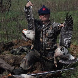 ��������� ����������, ���������, 65 ���