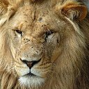 ���� ������, ���������, 52 ���� - ��������� 15 ���� 2013 � ������ ���� ����������