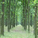 ���� �����, ��������� - ��������� 21 ���� 2013 � ������ �������