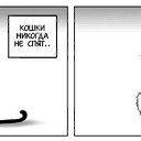 ���� ��������, ������, 35 ��� - ��������� 8 ������ 2011 � ������ ��������� ��������