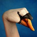 ���� Svetlana, ������, 59 ��� - ��������� 29 ����� 2011 � ������ �Hand Jobs. The Arts�