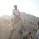 ���� ����������, ������, 54 ���� - ��������� 23 ���� 2012 � ������ ���� ����������