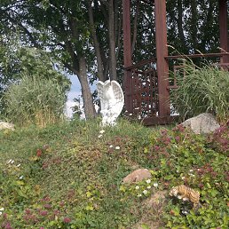 ���� ������, ������ ��������, 50 ��� - ��������� 19 ���� 2013