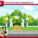  Irixa, , 57  -  14  2010   PetLove