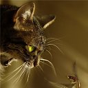 ���� �������, �����-���������, 38 ��� - ��������� 24 ������ 2010 � ������ ������� � �� ������