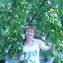  , -, 59  -  13  2012    