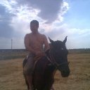 ���� �����, �����, 47 ��� - ��������� 26 ���� 2010