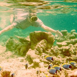 Alexey, ������, 73 ����