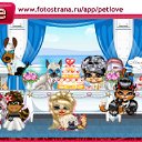 ���� ��������*���*, ������, 41 ��� - ��������� 9 ������� 2011 � ������ �PetLove�