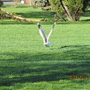  , , 40  -  27  2012    28.04 - 01.05.2012