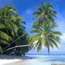 ���� Viktr, �������, 26 ��� - ��������� 5 ������� 2012