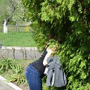 ���� �������, �������, 32 ���� - ��������� 31 ��� 2013 � ������ ���� ����������