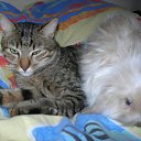 ���� Meritaton, ����, 47 ��� - ��������� 8 ������� 2009 � ������ �������������)) ���....�