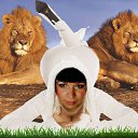 ���� ������, �����, 42 ���� - ��������� 20 ����� 2013 � ������ ���� ����������