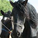 ���� ��������, ���������, 52 ���� - ��������� 3 ���� 2012 � ������ ���������