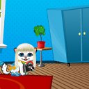 ���� ����, ���������, 46 ��� - ��������� 27 ���� 2010 � ������ ���� ��������