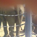 ���� ������, ���������, 41 ��� - ��������� 13 ���� 2011 � ������ ��������� �� ������