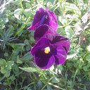 ���� �������, �������, 58 ��� - ��������� 15 �������� 2012 � ������ ��� �� ��� ������ �����������