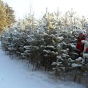 ���� �����, ����������, 65 ��� - ��������� 17 ������� 2011 � ������ �����