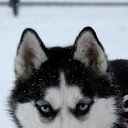 ���� �������, ������������, 42 ���� - ��������� 6 ������� 2012 � ������ ���� ����� � ���-�������.�