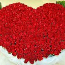 ���� ������, ������, 59 ��� - ��������� 14 ������� 2013 � ������ �����ۻ