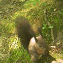 ����� ���������... �� ������� ���� ����������