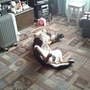 ���� ����, ���������, 59 ��� - ��������� 23 ������� 2011 � ������ ���� ����������