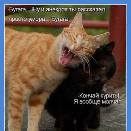 ���� ������, �������, 39 ��� - ��������� 8 ���� 2011