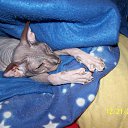 ���� Dimka, ������, 57 ��� - ��������� 5 ����� 2012 � ������ �TIERE�