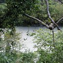 ���� Yuris, ������-���, 64 ���� - ��������� 15 ������� 2011 � ������ �������� 08.2011�