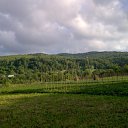  Nadya, , 37  -  5  2010   )))