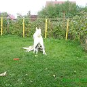 ���� ������, ������, 45 ��� - ��������� 10 ���� 2013