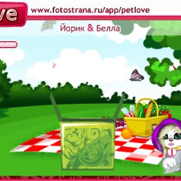 ���� Rik, ����, 33 ���� - ��������� 6 ������� 2010