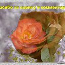 ���� �����., ���������, 60 ��� - ��������� 16 ���� 2012 � ������ ���� ����������