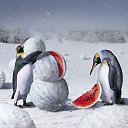 ���� Many��, �����������, 48 ��� - ��������� 11 ������ 2012 � ������ ������� �������