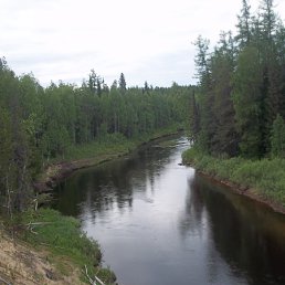 ���� ������, ������, 46 ��� - ��������� 13 ������ 2011