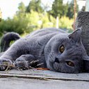 ���� Serega, ��������� - ��������� 25 ������� 2010 � ������ ������