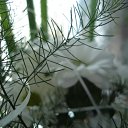 ���� ���, ������, 60 ��� - ��������� 28 �������� 2011