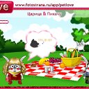   (), -, 47  -  15  2010   PetLove