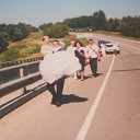 ���� �������, ������, 43 ���� - ��������� 17 �������� 2011 � ������ �PetLove�